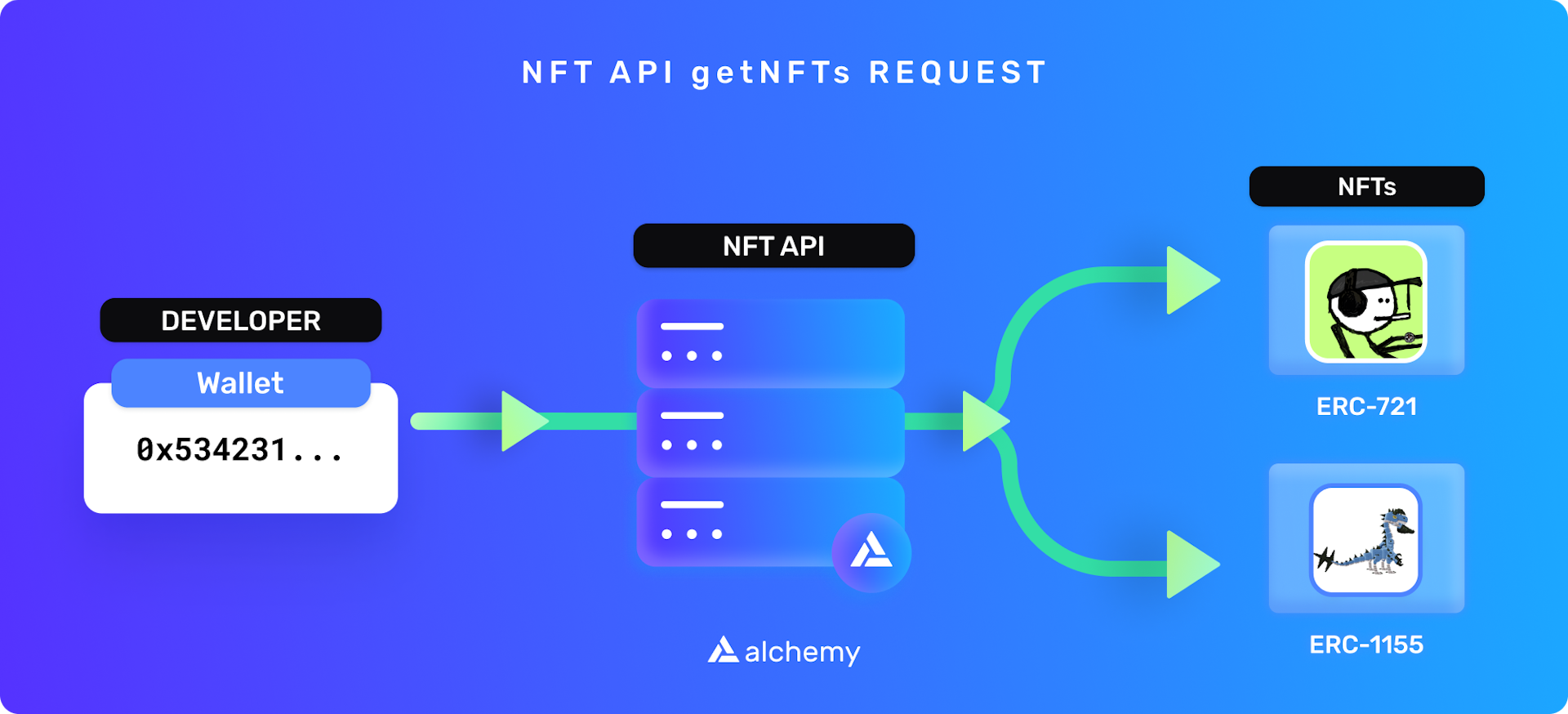 An example of the NFT API returning requested data, based on wallet address